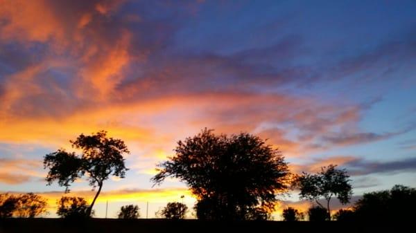 Photo of Stephanie B.