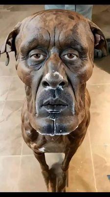 photo of Alexander A.