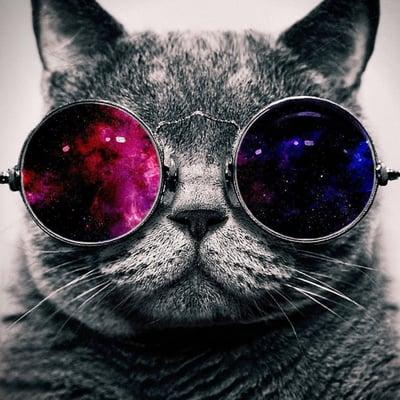 photo of Stephanie M.