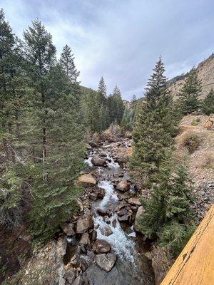 photo of Stephanie P.