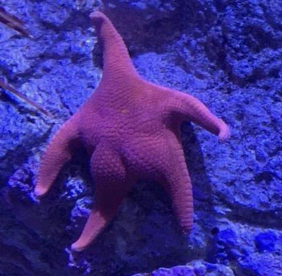 photo of Alexander C.