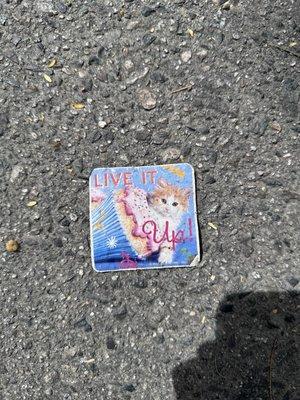 photo of Michael And Marie V.