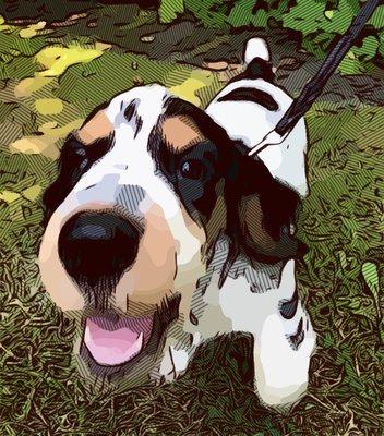 photo of Christopher M.