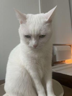 photo of Virginia P.