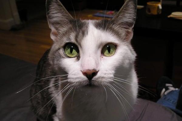 Photo of Suzzanne L.