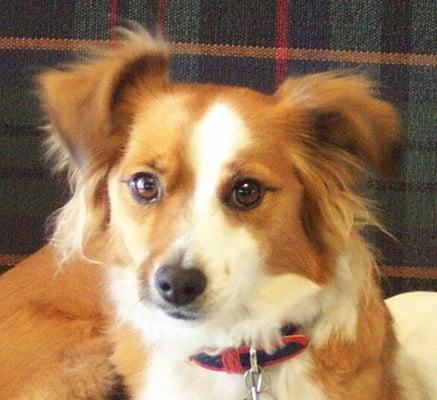 photo of Christine P.