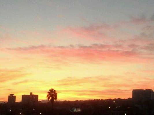 Photo of Liz S.