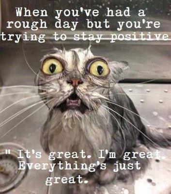 photo of Paulette R.