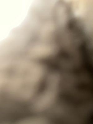 Photo of Nexus C.