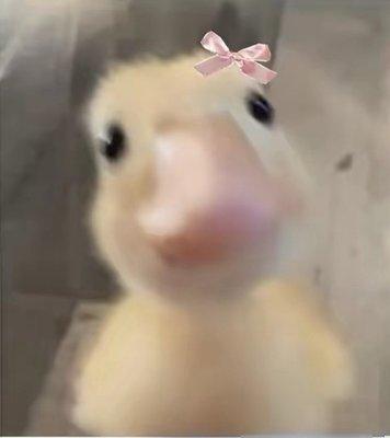 photo of Maria Clara N.