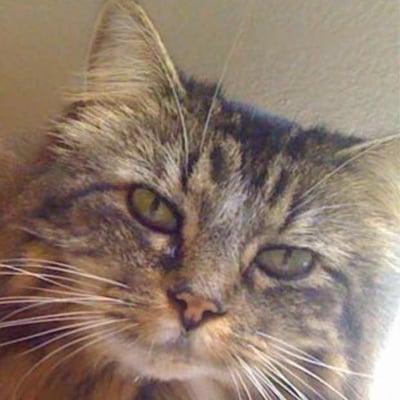 Photo of Staci T.