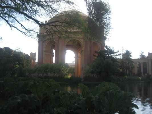 Photo of T C.