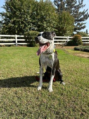 photo of Katherine K.