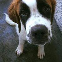 photo of Jongmyung Joe L.