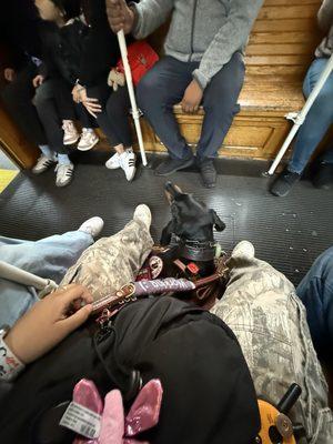 photo of Rosalinda S.