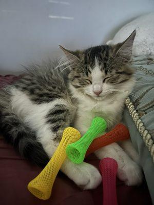 photo of Angel H.
