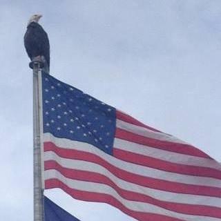 photo of Jacquita J.