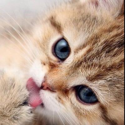 photo of Danielle C.