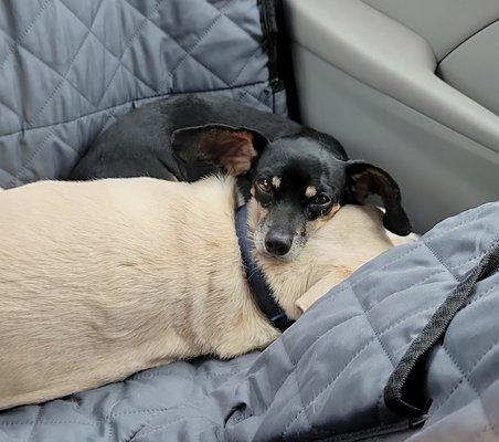 photo of Christina Y.