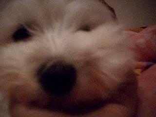 photo of Michelle F.