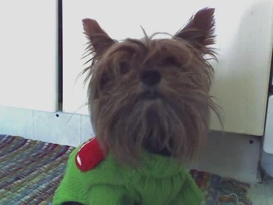 photo of Francisco S.