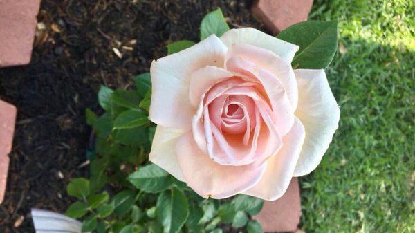 Photo of Christina H.