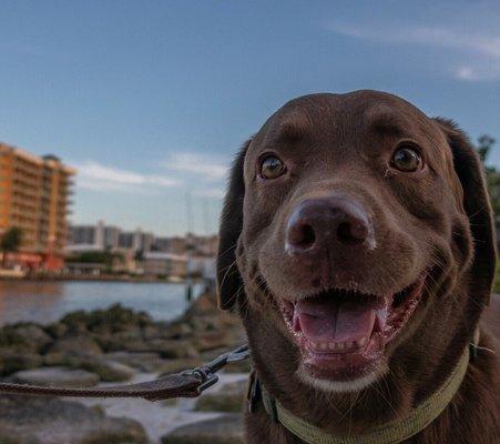 photo of Wildhearts1999 ..