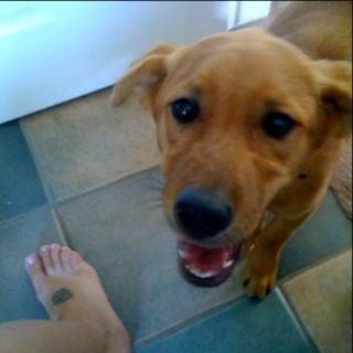 photo of Michelle W.