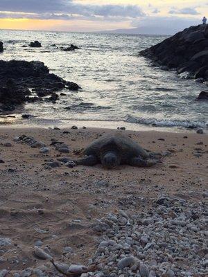 photo of Virginia M.