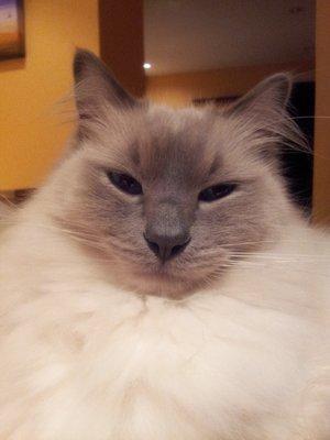 photo of Stefanie F.