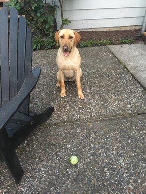 Photo of Scott Kayla P.