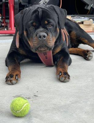 photo of Christian H.