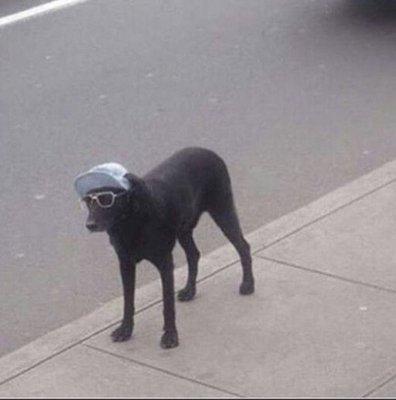 photo of I ate hisokas ashes l.