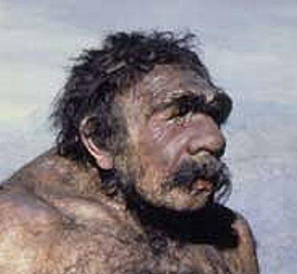 Photo of Ned F.