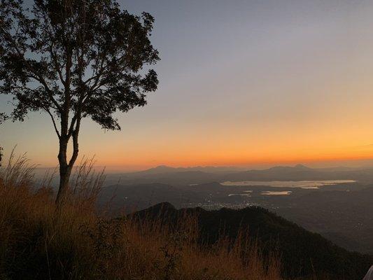 photo of Priscilla J.