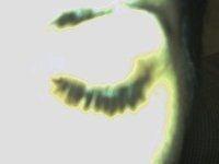 Photo of PrivateInfo P.