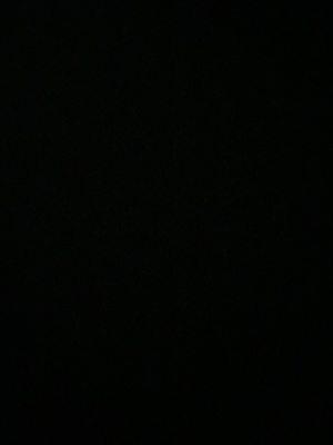 Photo of Karissa V.