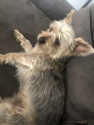 Photo of Jaxxon S.