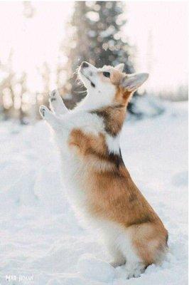 Photo of ScottNatalie M.