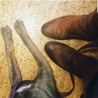 photo of Chrissie C.