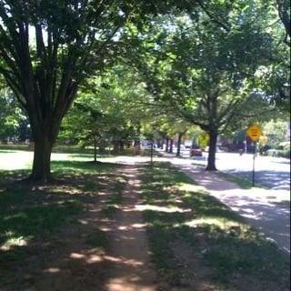 Photo of Cathy R.