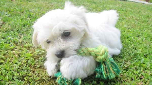 Photo of Inny M.
