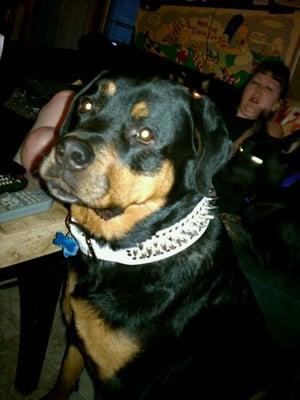 Photo of Scotty C.