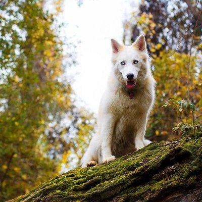 photo of Michelle H.