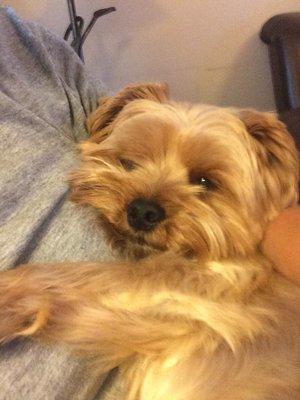 photo of Michelle B.