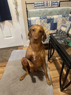 photo of Johnathan B.