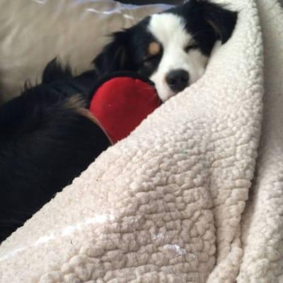Photo of Candy L.