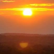 photo of Food Critic P.