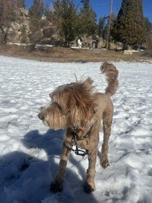 photo of Angela Hamaker ..