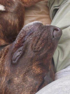 photo of Benjamin S.